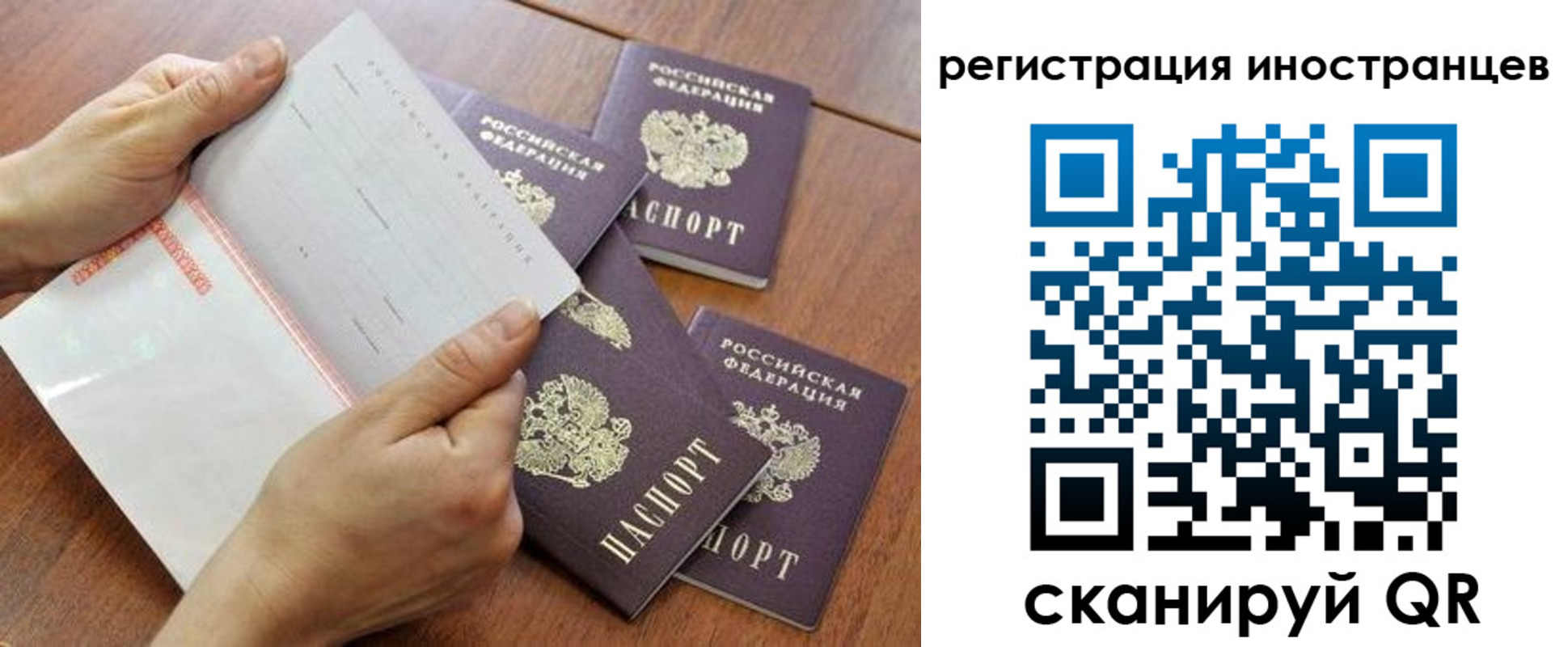 прописка поиск в Бокситогорске